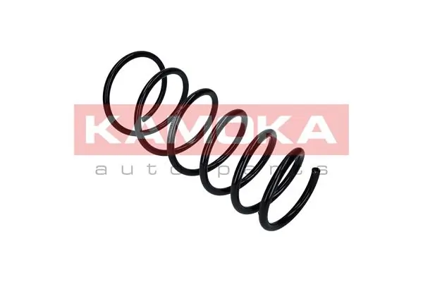 Suspension Spring 2110305