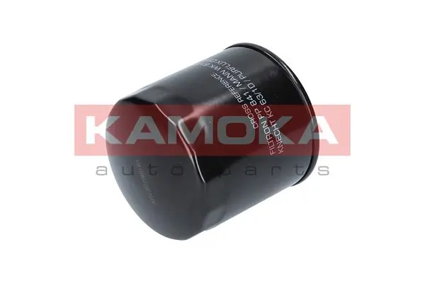 Fuel Filter F308801