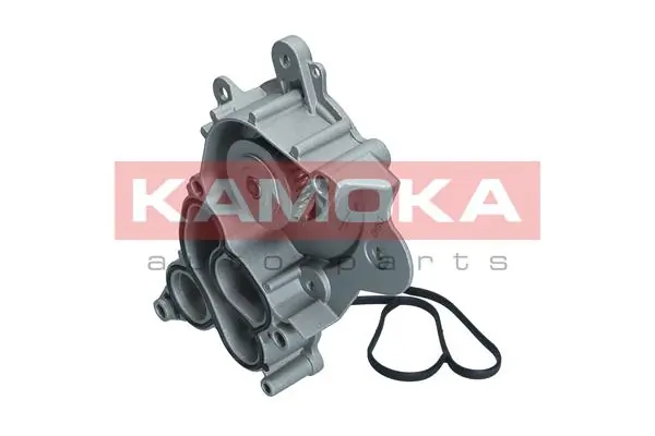 Water Pump, engine cooling T0286