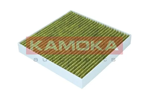 Filter, cabin air 6080186