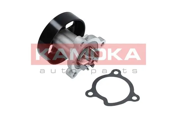 Water Pump, engine cooling T0221