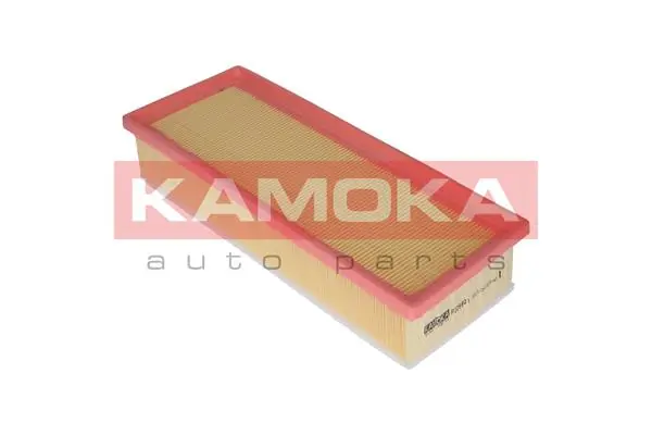 Air Filter F229801