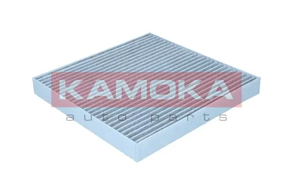 Filter, cabin air 6080193