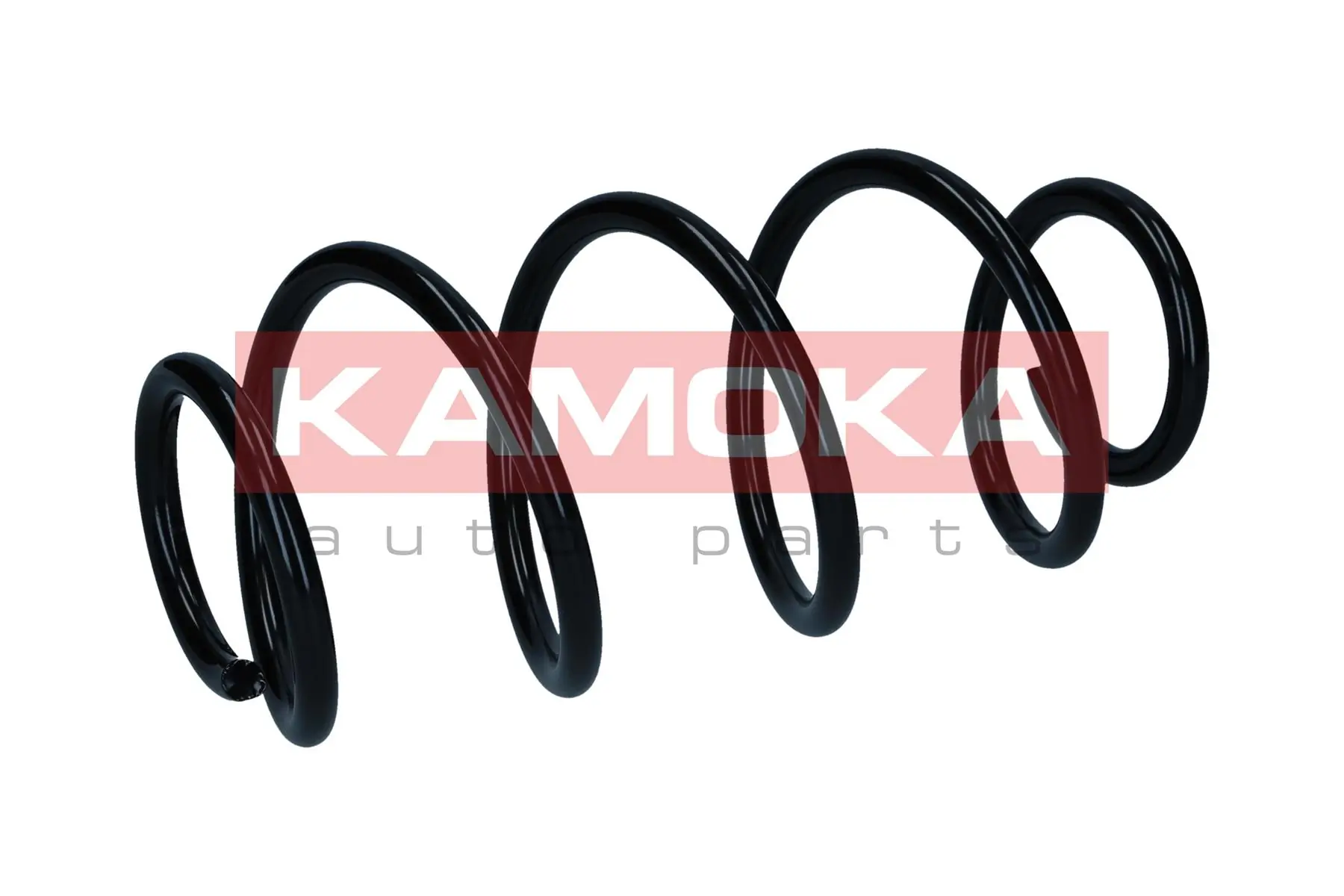 Suspension Spring 2120513