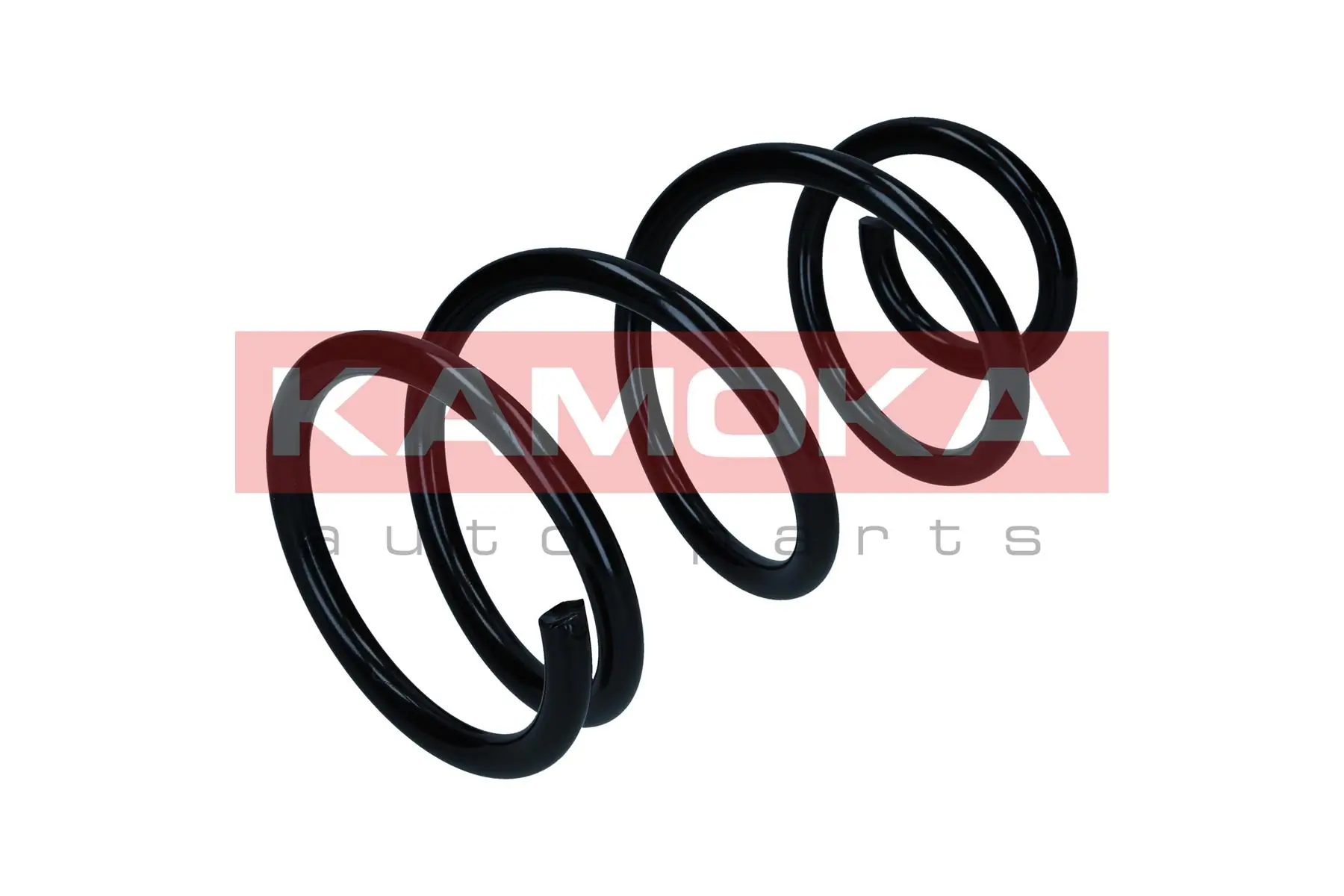 Suspension Spring 2110513