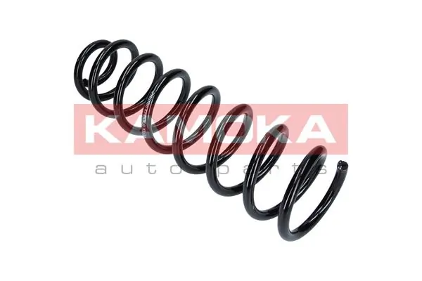 Suspension Spring 2110178