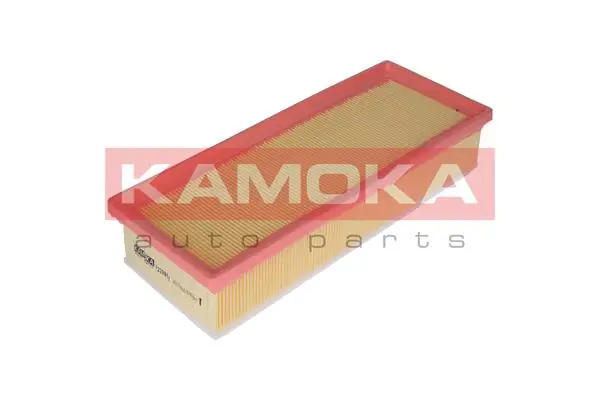 Air Filter F229801
