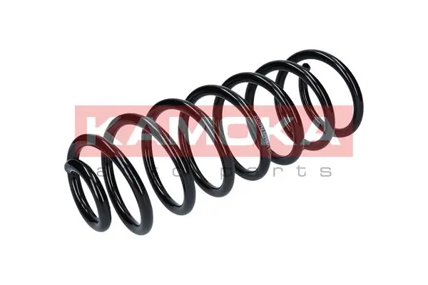 Suspension Spring 2120142