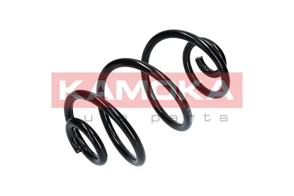 Suspension Spring 2120113