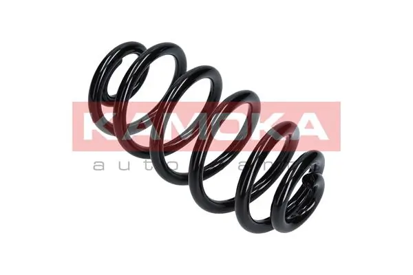 Suspension Spring 2120109