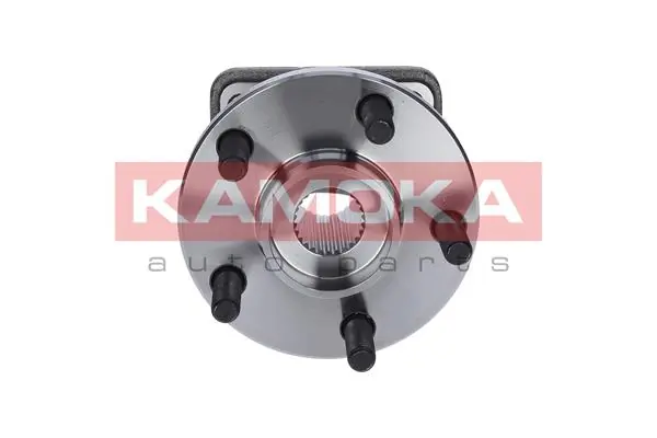 Wheel Bearing Kit 5500057