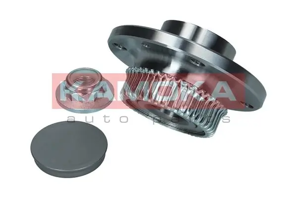 Wheel Bearing Kit 5500025