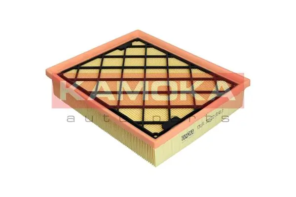 Air Filter F251301
