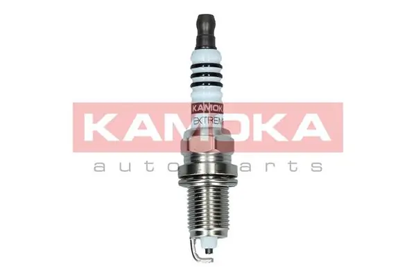 Spark Plug 7090539