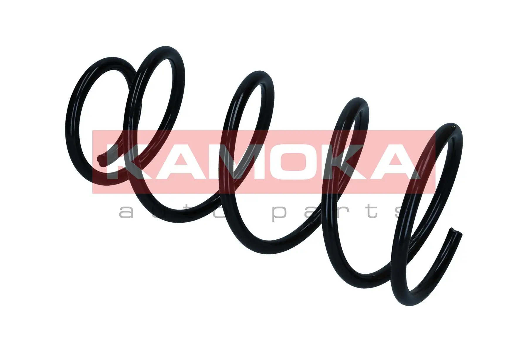 Suspension Spring 2110514