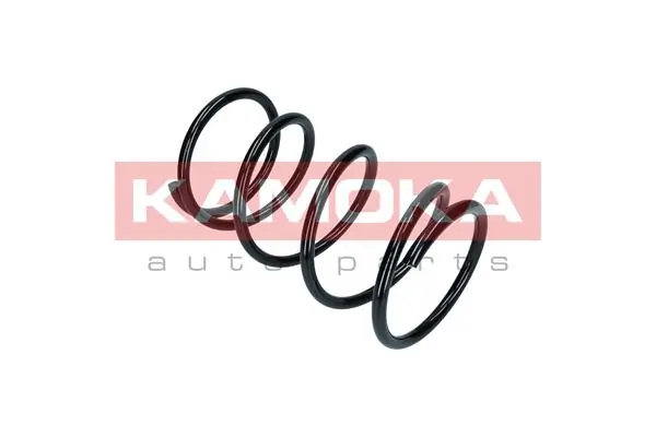 Suspension Spring 2110312