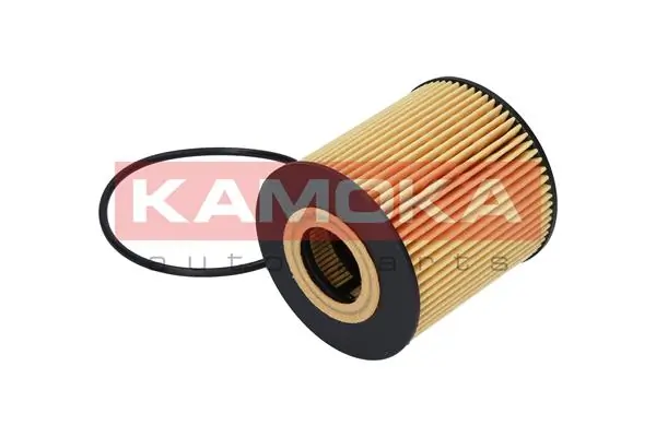 Oil Filter F107001