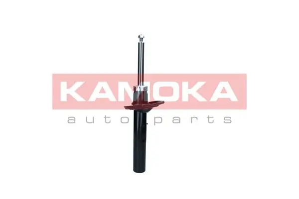Shock Absorber 2001189