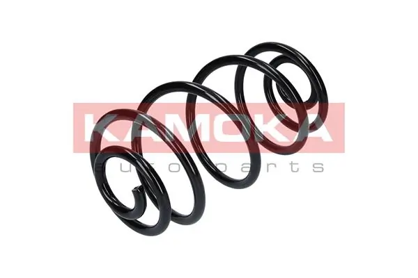 Suspension Spring 2120047