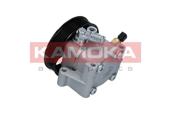 Hydraulic Pump, steering PP098