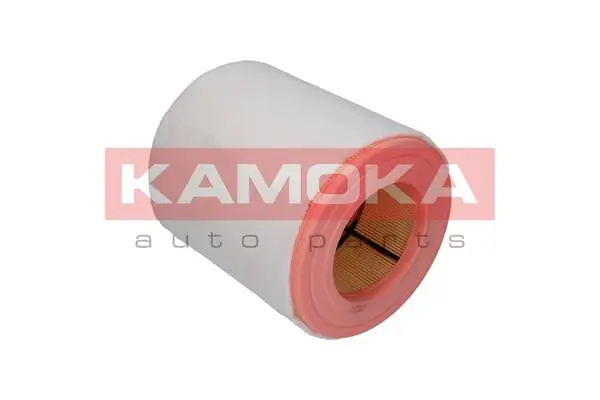 Air Filter F238001