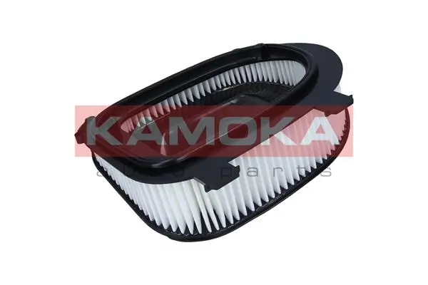 Air Filter F242501
