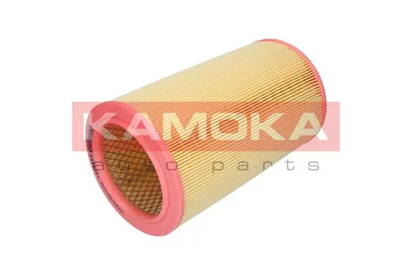 Air Filter F243301