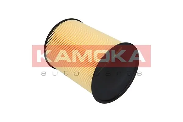 Air Filter F215801