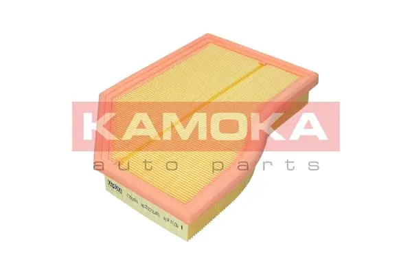 Air Filter F255801