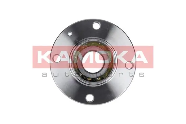 Wheel Bearing Kit 5500049