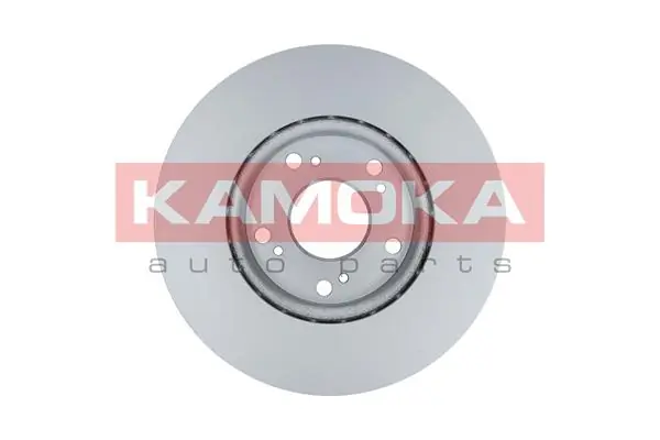 Brake Disc 1031128