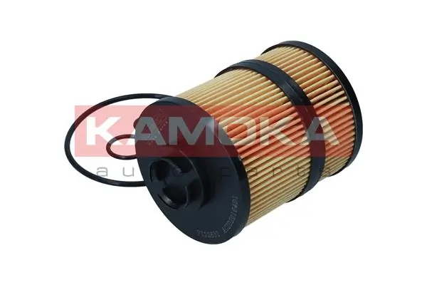 Oil Filter F125901
