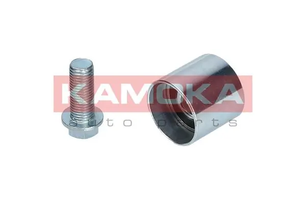 Vibration Damper, timing belt R0201
