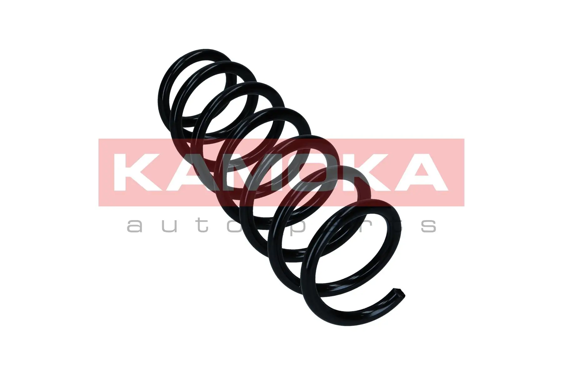 Suspension Spring 2110419