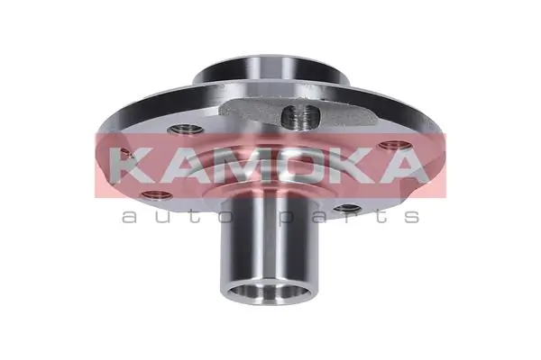 Wheel Hub 5500106