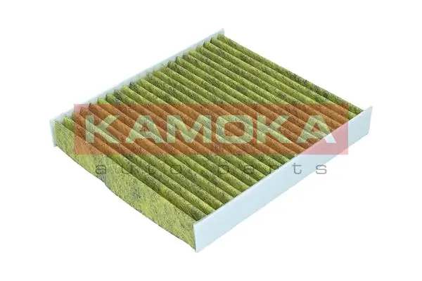 Filter, cabin air 6080140