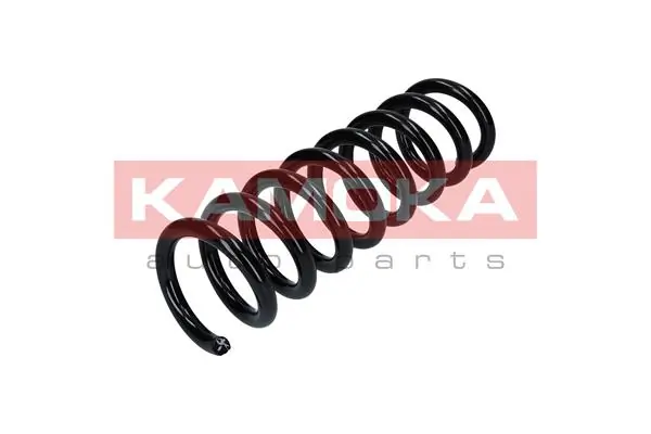 Suspension Spring 2120281