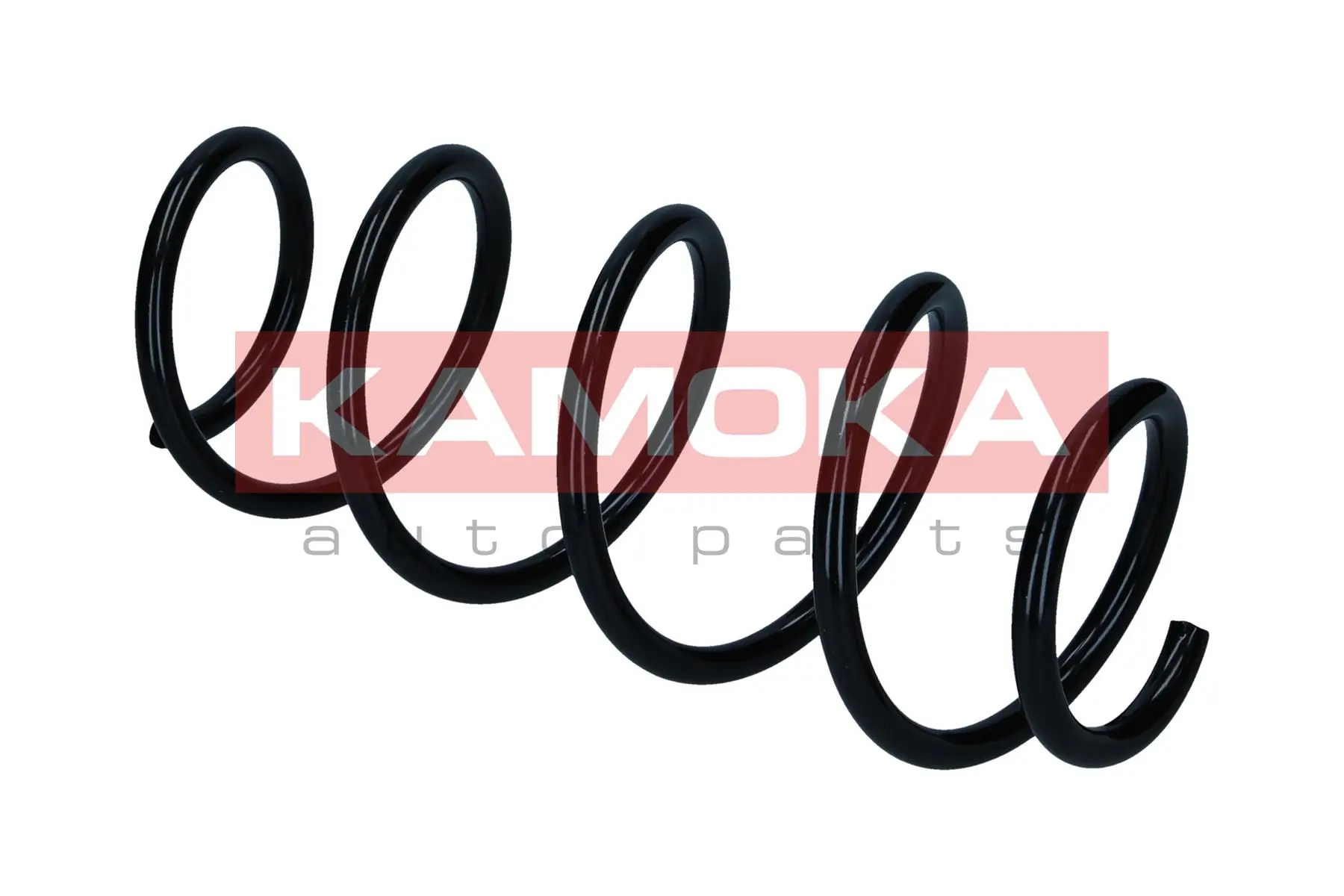 Suspension Spring 2110839