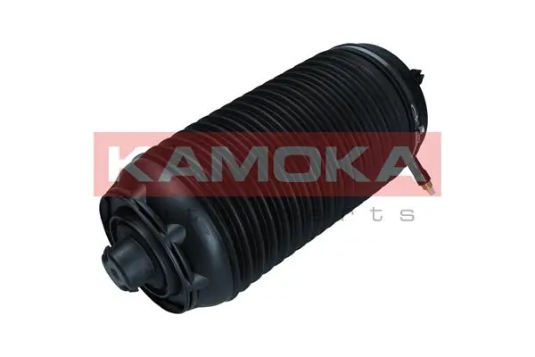 Air Spring, suspension 2079061