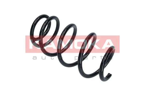 Suspension Spring 2110294