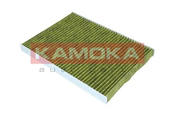 Filter, cabin air 6080081