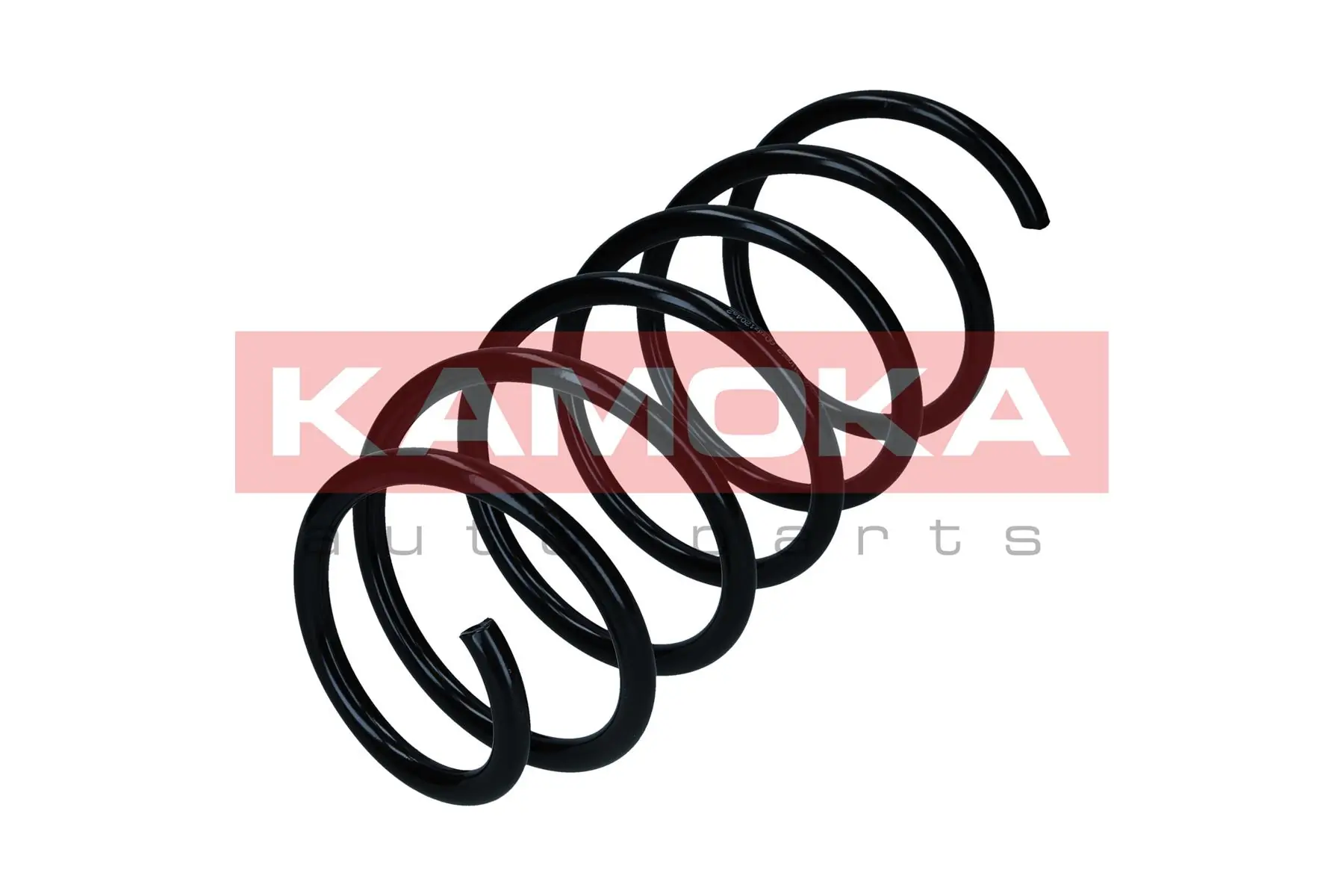 Suspension Spring 2110862