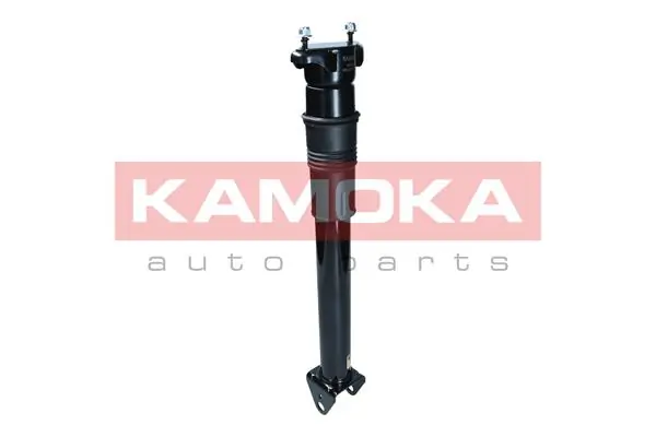 Air Suspension Strut 2070014