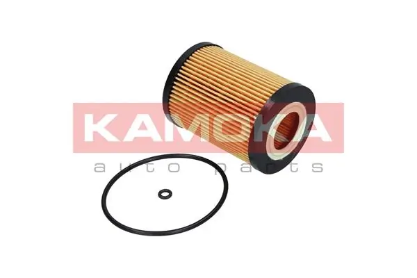 Oil Filter F114601