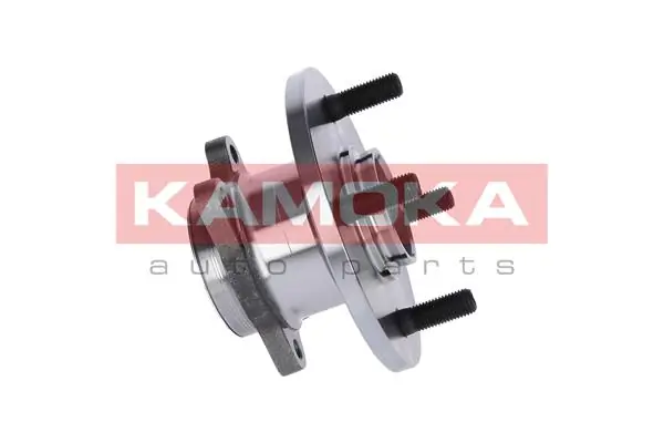 Wheel Bearing Kit 5500071
