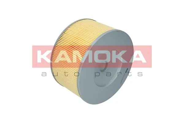 Air Filter F215901