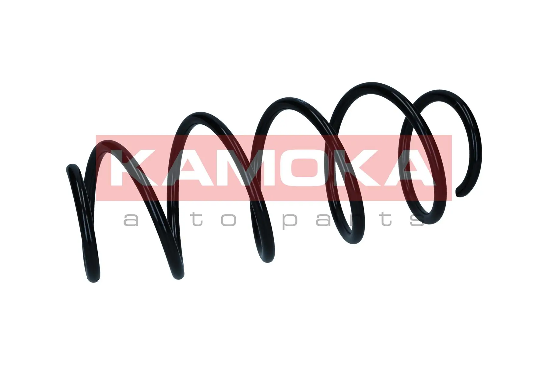 Suspension Spring 2110822