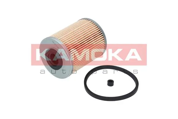 Fuel Filter F303601