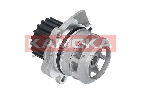 Water Pump, engine cooling T0020