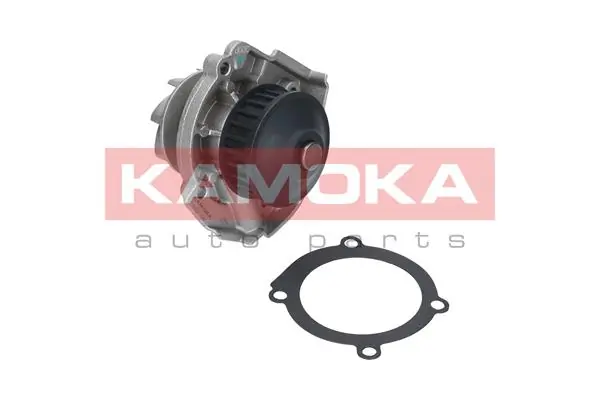 Water Pump, engine cooling T0118